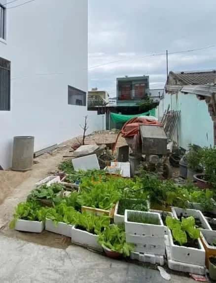 Bán đất Hòa Trung Thành phố Nha Trang, Khánh Hòa – giá 1.9 tỷ - ảnh 1